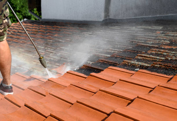 Best Exterior Home Cleaning  in Riverton, NJ